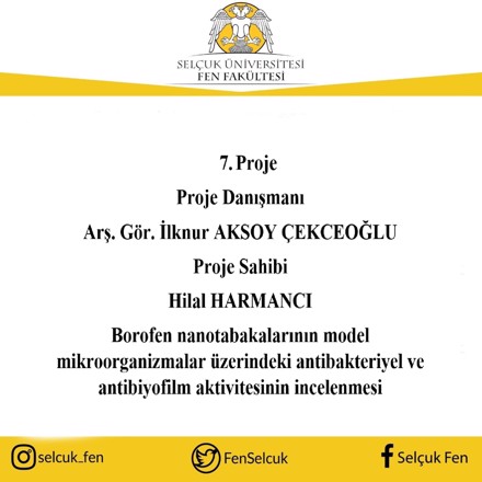 2209-A Üniversite Öğrencileri Araştırma Projeleri Destekleme Programı